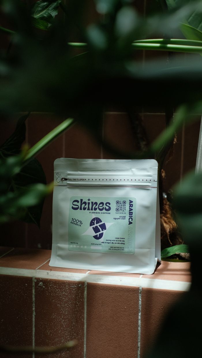 A packet of Shines Arabica coffee displayed on a tiled surface surrounded by plants.